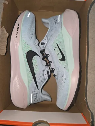 Zapatillas Nike Air Zoom Pegasus 41 cm