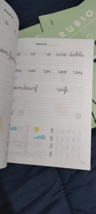 LOTE Cuadernillos Rubio