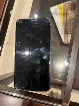 iPhone 11 Multicolor