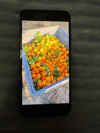 Samsung Galaxy A54 Nero