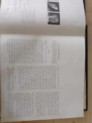 Vinile Lucia di Lammermoor Donizetti RCA