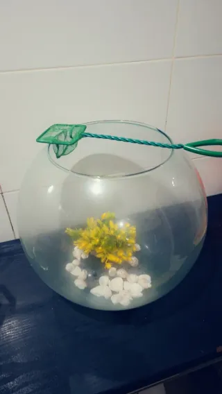 Pecera redonda de cristal con decoración