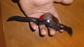 Reloj GPS Garmin Forerunner 305