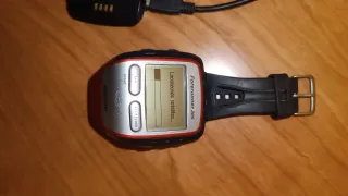 Reloj GPS Garmin Forerunner 305