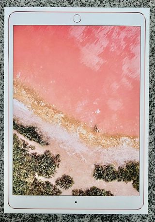 iPad Pro 10.5 64GB Oro Rosa Wifi