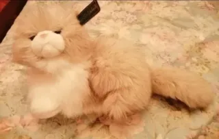 Gato mide 25 cm precioso.