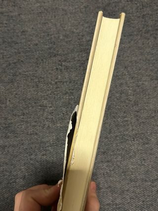 La esfinge de Hyde Park: Sherlock, Lupin y yo 8