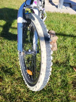 Bicicleta MMR 20 infantil