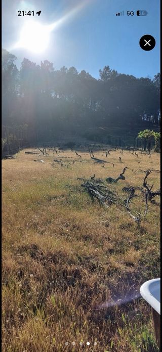 Finca urbanizable San Cibrao das Viñas