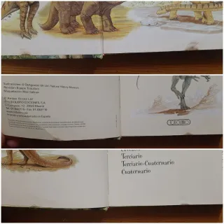 Descubre los dinosaurios.