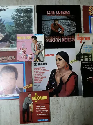 Lote 9 Vinilos Flamenco y Sevillanas