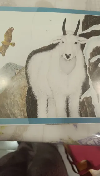 En la montaña (Libros sensoriales) (Spanish Edi...