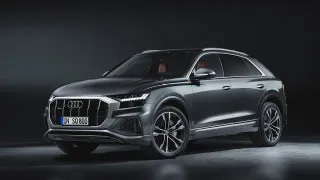 Faros Matrix para Audi Q8 SQ8 4M8