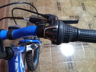 Bicicleta infantil 20 WST casi nueva