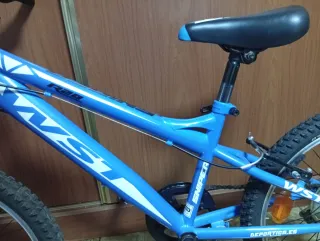 Bicicleta infantil 20 WST casi nueva