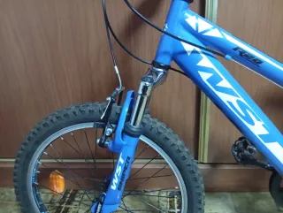 Bicicleta infantil 20 WST casi nueva