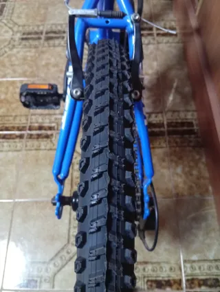 Bicicleta infantil 20 WST casi nueva