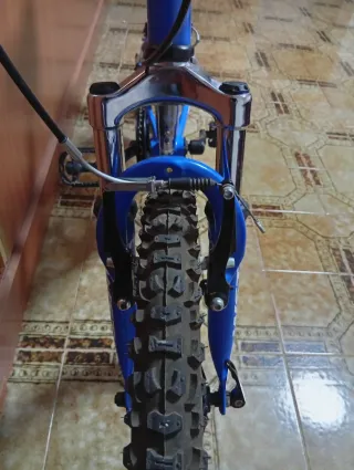 Bicicleta infantil 20 WST casi nueva