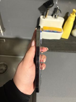 iPhone 13 Pro Negro/Plata