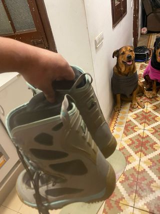 Tavola da snowboard e scarponi taglia 7