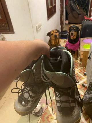 Tavola da snowboard e scarponi taglia 7