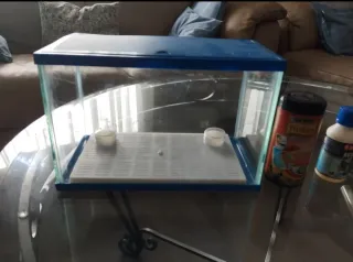 Pecera pequeña con accesorios