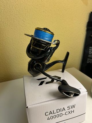 Daiwa Caldia 4000 - Carrete de pesca