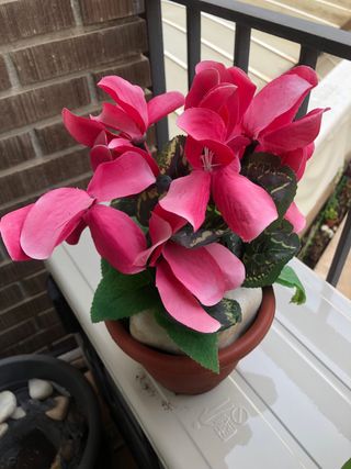 2 Cíclamenes Artificiales Rosas