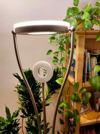 Lámpara de pie regulable con flexo auxiliar