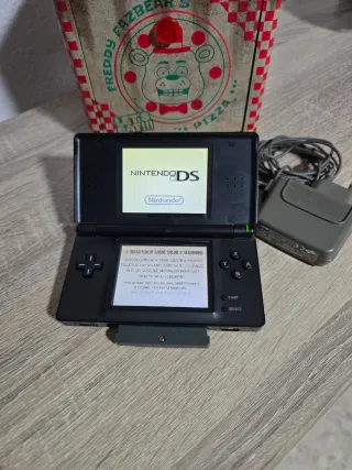 Nintendo DS Lite pokemon