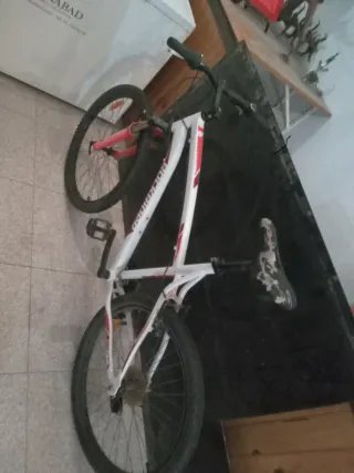 Único detalle el asiento nada más.