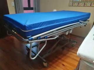 Cama articulada de tipo hospitalaria