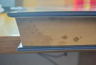 Libro Bismarck " Il grande conservatore"