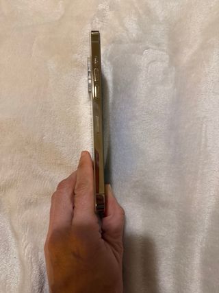 iPhone 12 Pro Max Oro y carcasas de regalo