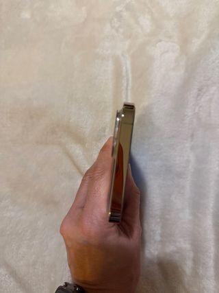 iPhone 12 Pro Max Oro y carcasas de regalo