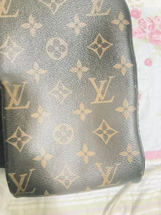 Bolso Louis Vuitton Marrón