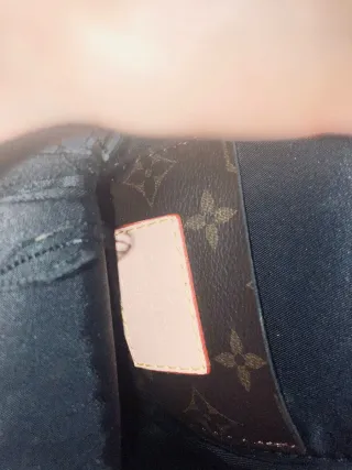 Bolso Louis Vuitton Marrón