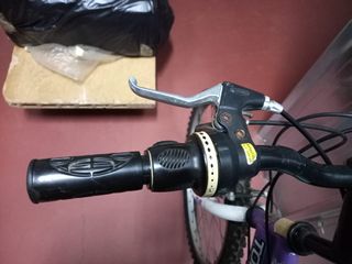 Bicicleta Topbike Niña Morada