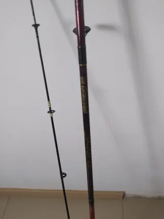 Caña y carrete pesca grauvell