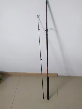 Caña y carrete pesca grauvell