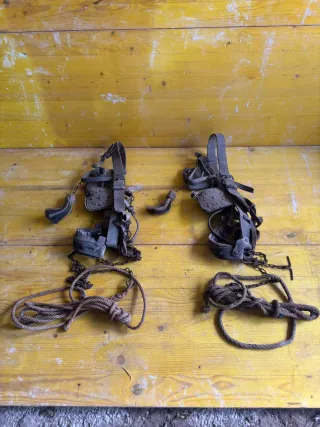 2 jakimas para las mulas