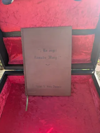 Libro único ejemplar "Un ángel llamado Mary"