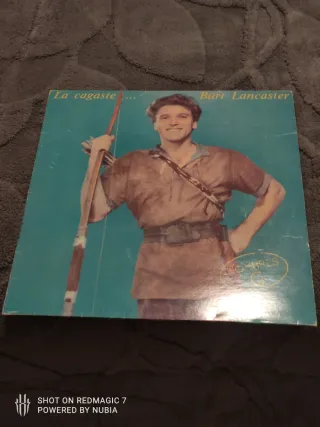 Vinilo de colección The Bellamy Brothers