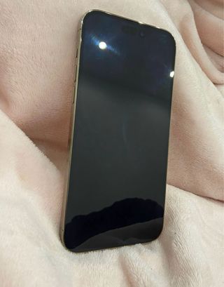 iPhone 14 Pro Max Oro