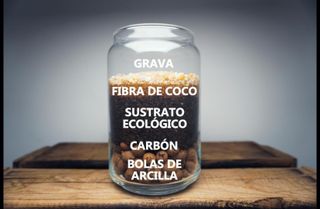 Kit Terrario Sustratos Esenciales