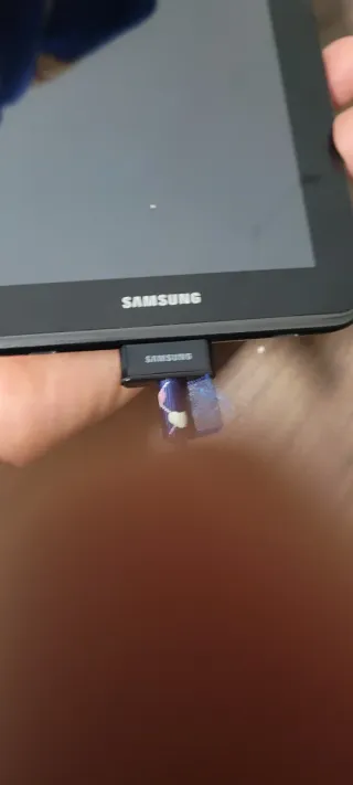 Samsung GT-P3110 Negra Tablet