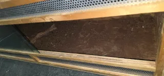 Terrario de madera con cristal