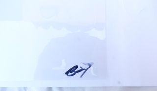 Bob Esponja Fotograma Animación Fondo