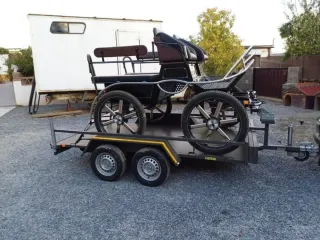 Plataforma carnet del coche