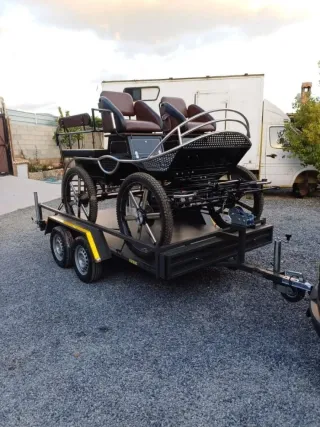 Plataforma carnet del coche